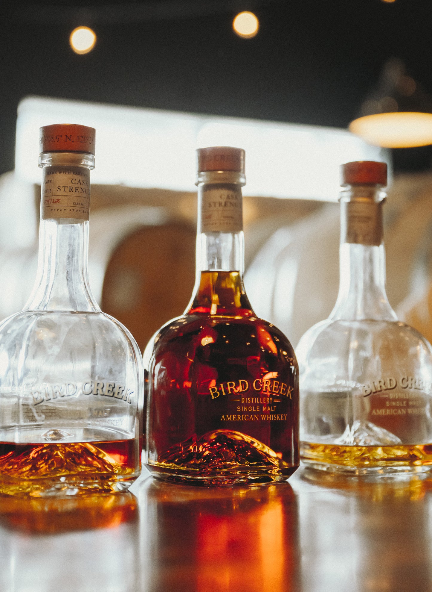 Whiskey Tasting 2025