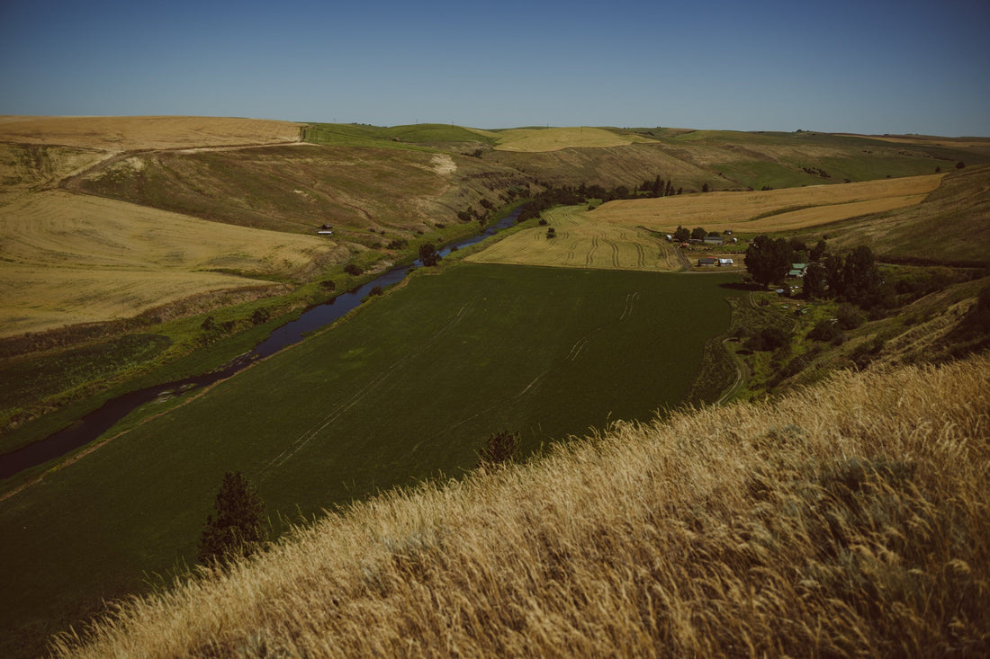 From Field to Flask: How Heritage Barley Shapes American Single Malt at Bird Creek
