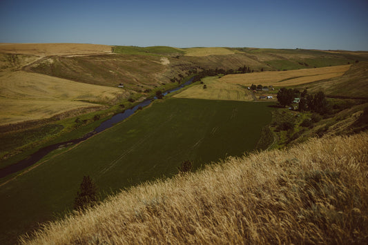 From Field to Flask: How Heritage Barley Shapes American Single Malt at Bird Creek
