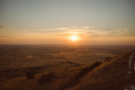 PNW Heritage Barley: The Secret Behind Bird Creek American Single Malt