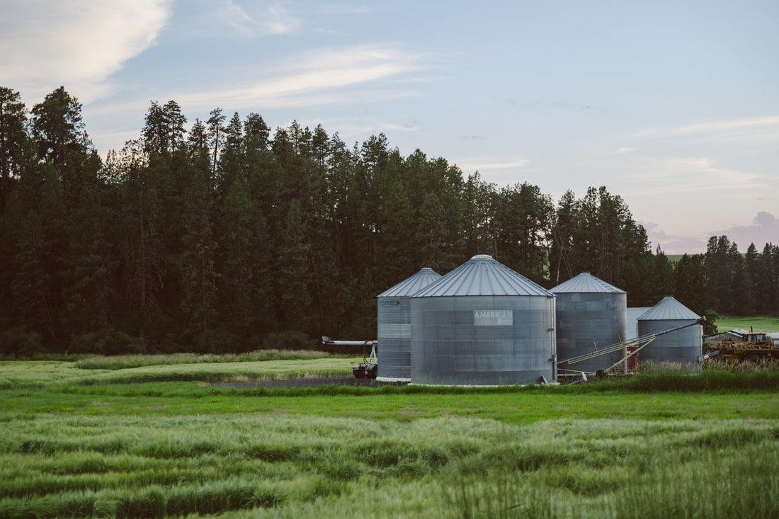 How to Taste American Single Malt Whiskey: A Beginner-Friendly Guide to PNW Barley