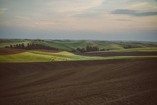 Why Heritage Barley Elevates American Single Malt Whiskey