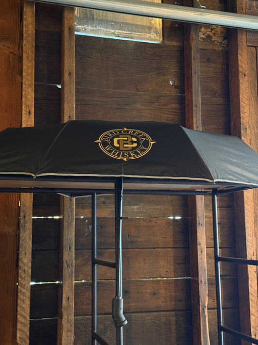 Umbrella with LED Handle